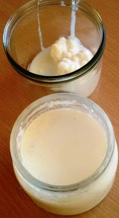 kefir nutrition benefits probiotic good bacteria nutrients